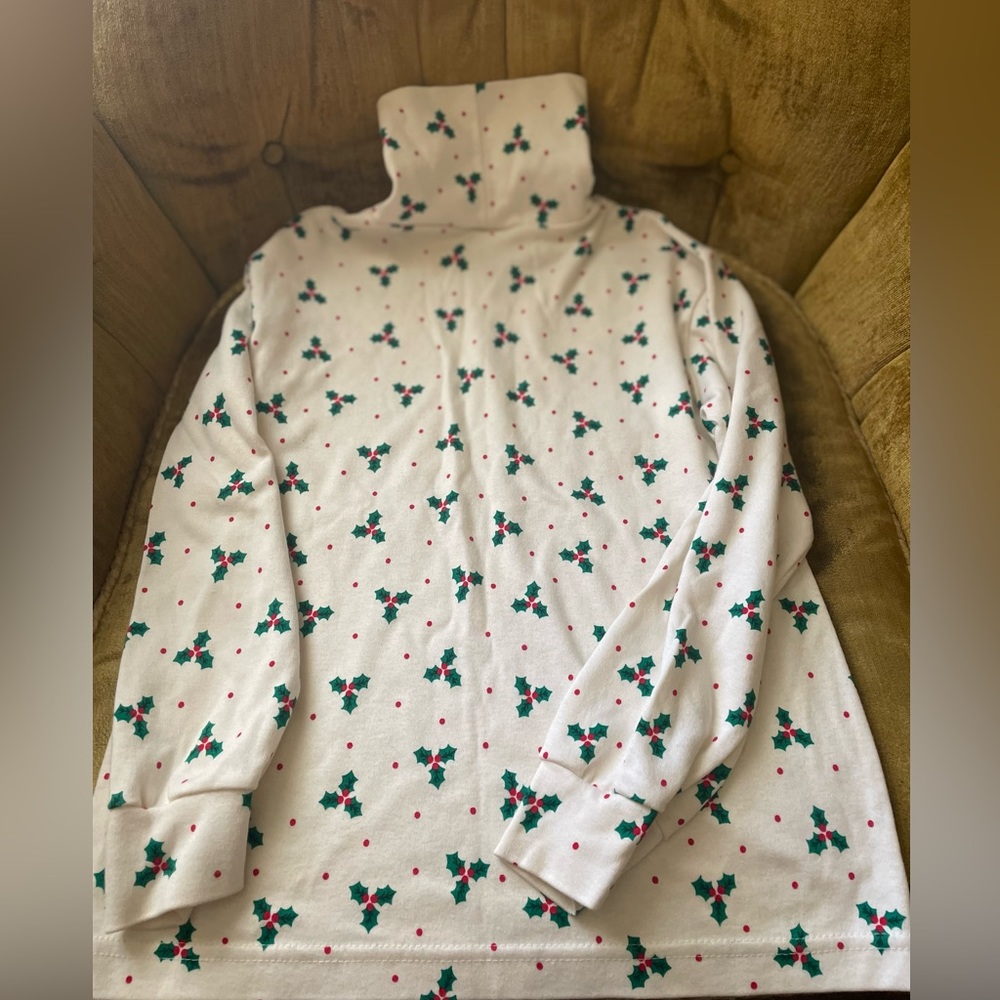 Heartstrings Holly Print Turtleneck